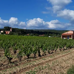 Au Milieu Des Vignes , Le Castellet (Var) France